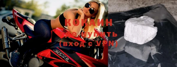 индика Баксан