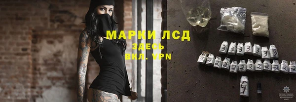 индика Баксан