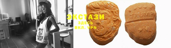 индика Баксан