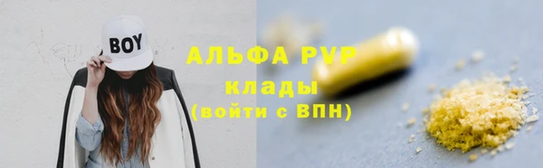 индика Баксан