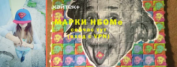 индика Баксан