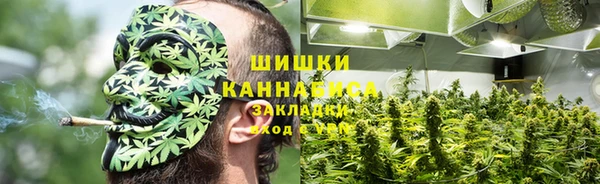 дурь Пролетарск