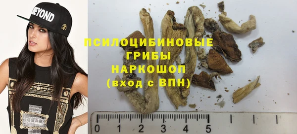 индика Баксан